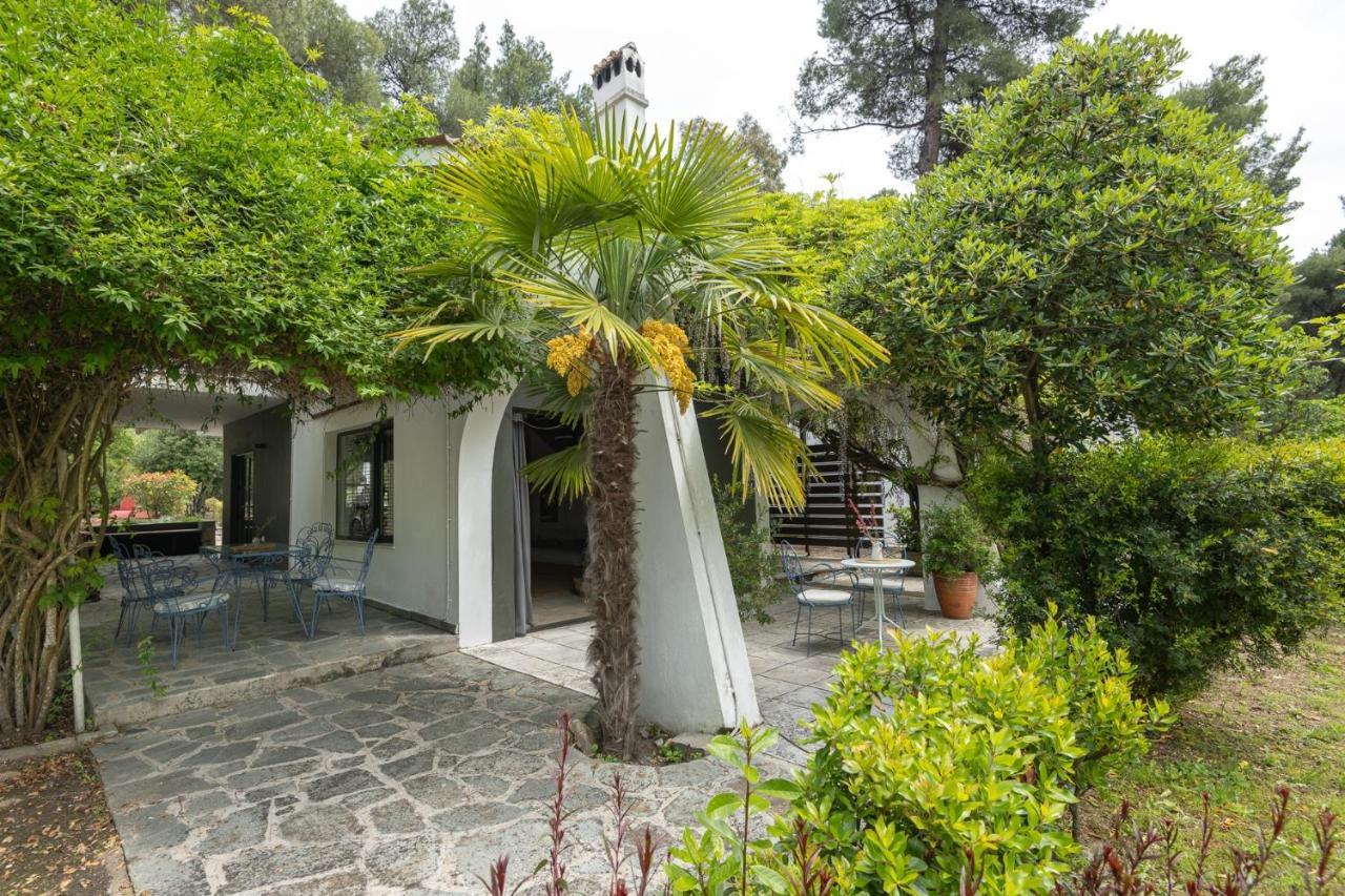 Rose Willow, Vourvourou #Feelslikehome Exterior foto
